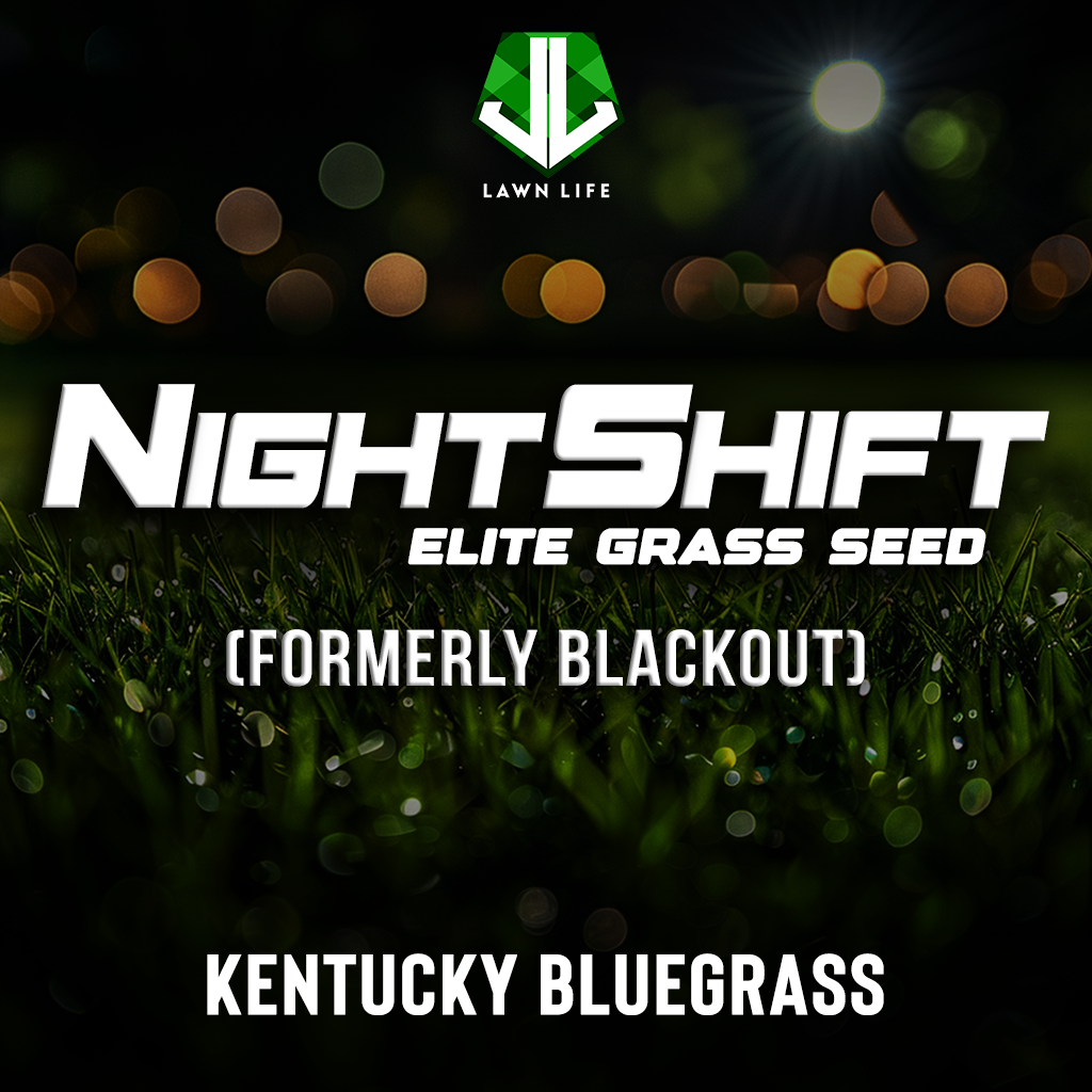 NIGHTSHIFT (formerly Blackout) - Kentucky Bluegrass