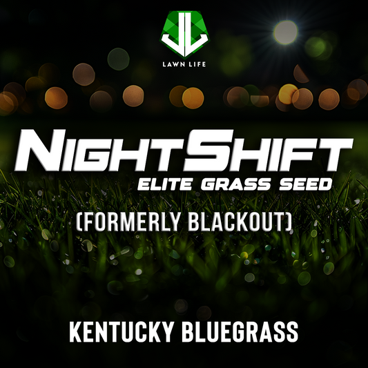 NIGHTSHIFT (formerly Blackout) - Kentucky Bluegrass