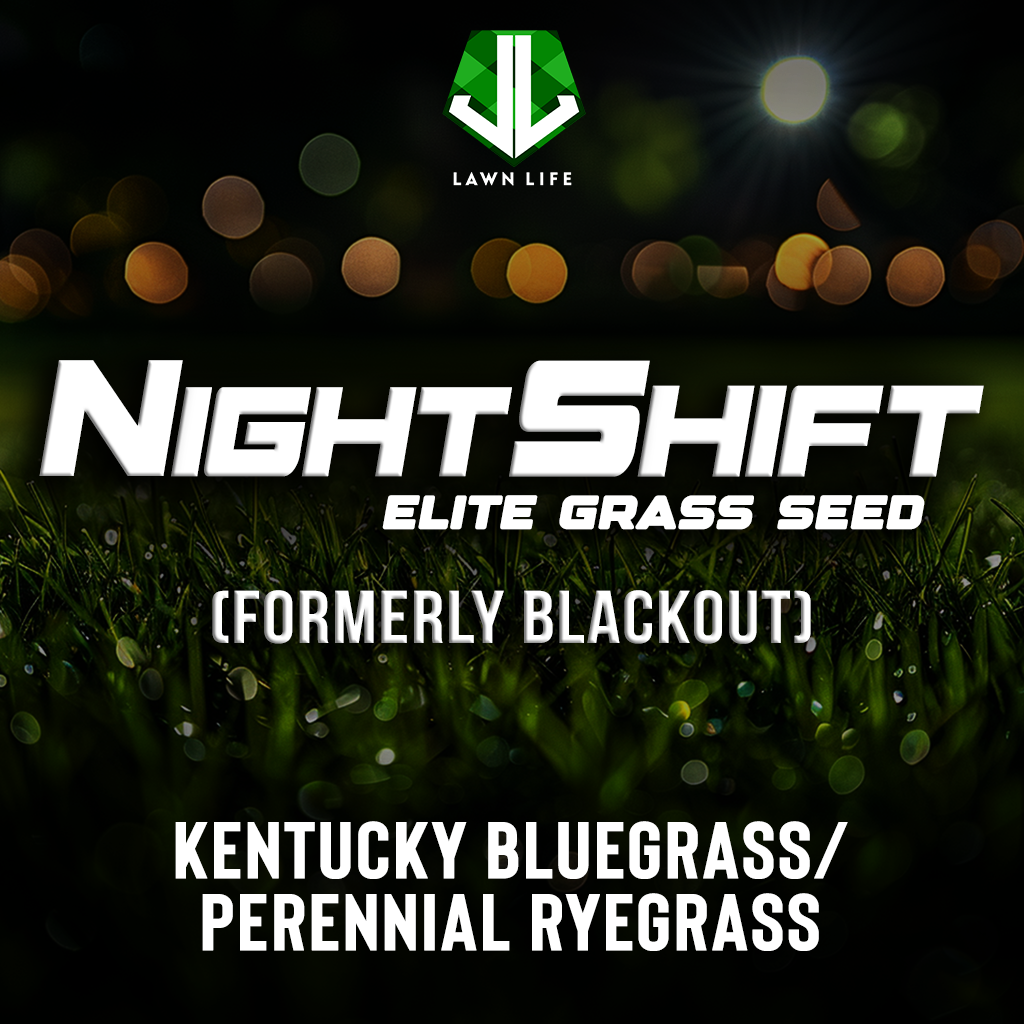 NIGHTSHIFT (formerly Blackout) Kentucky Bluegrass/Ryegrass