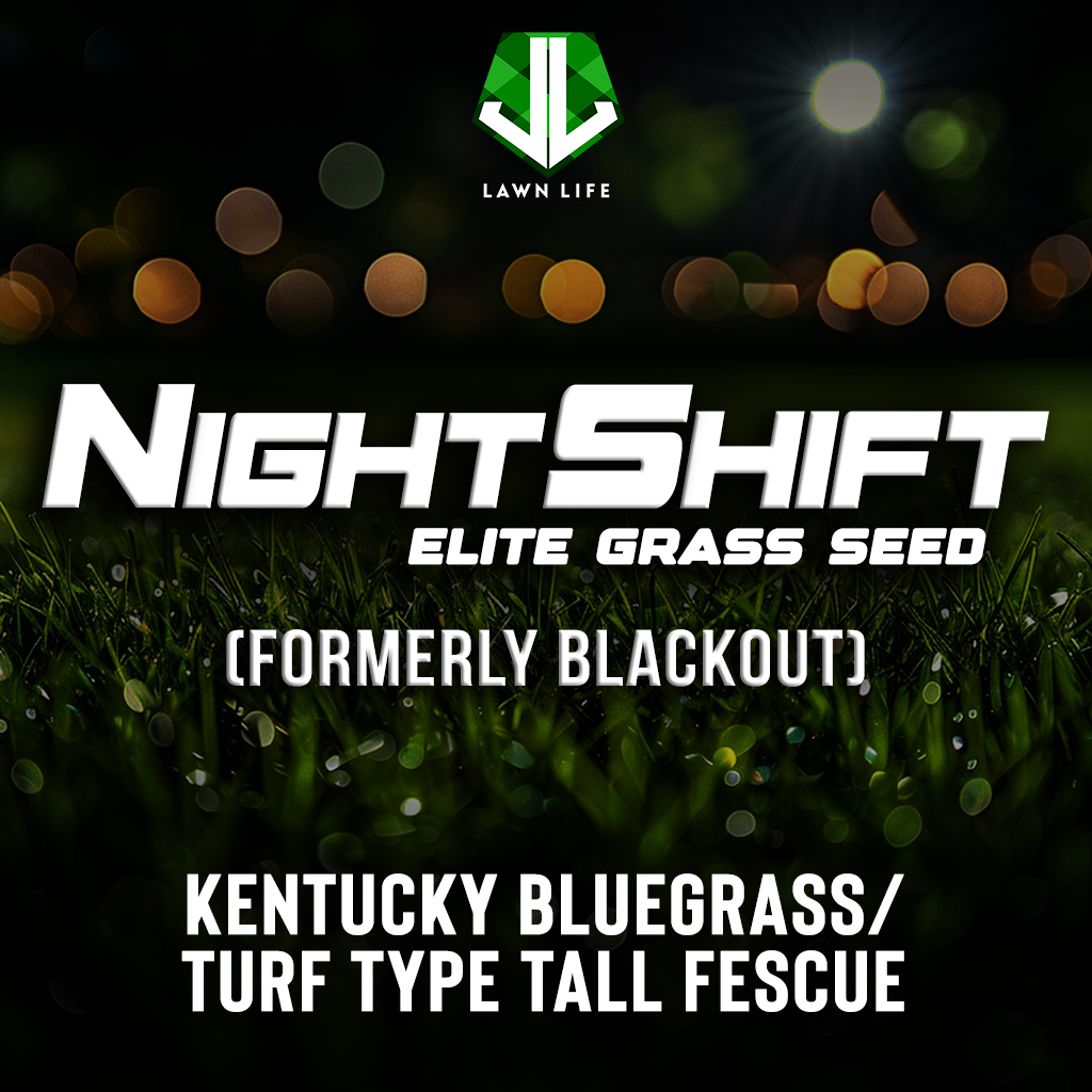 NIGHTSHIFT (formerly Blackout) Kentucky Bluegrass/Turf Type Tall Fescue