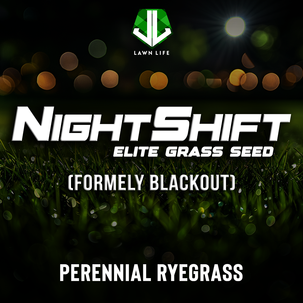 NIGHTSHIFT Fireball and Hattrick Perennial Ryegrass