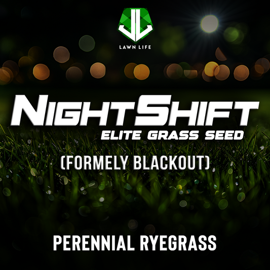 NIGHTSHIFT Fireball and Hattrick Perennial Ryegrass