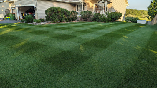 Liquid Iron for Lawns: Is it Worth it?