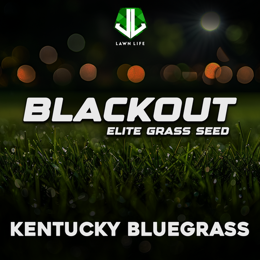 Blackout Elite Kentucky Bluegrass