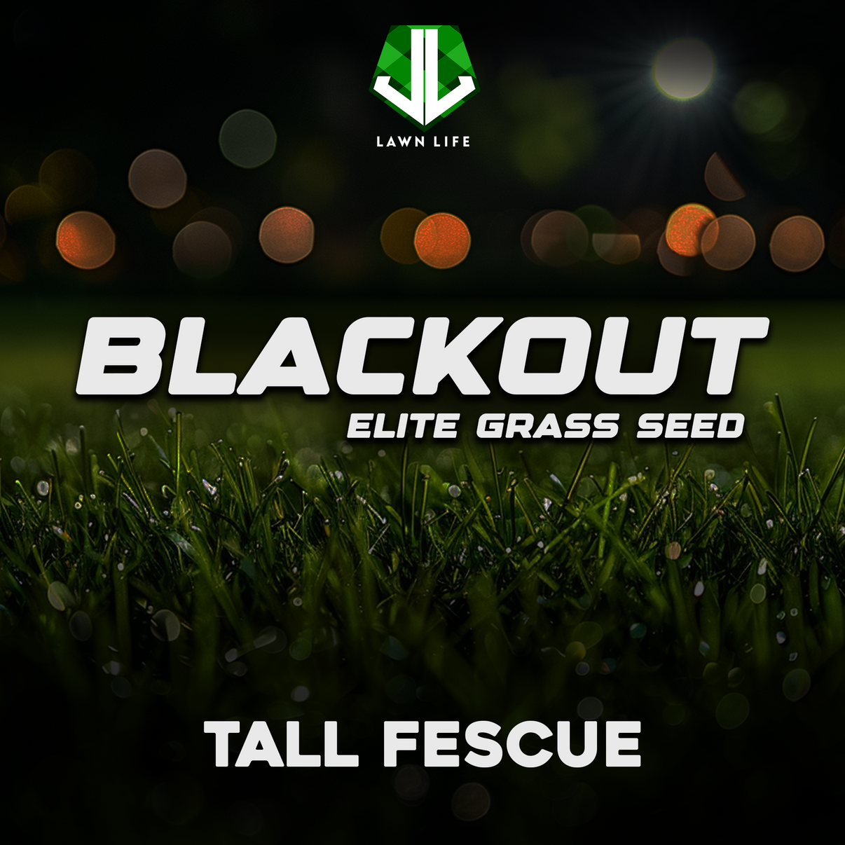 Blackout Elite Turf Type Tall Fescue LAWN LIFE