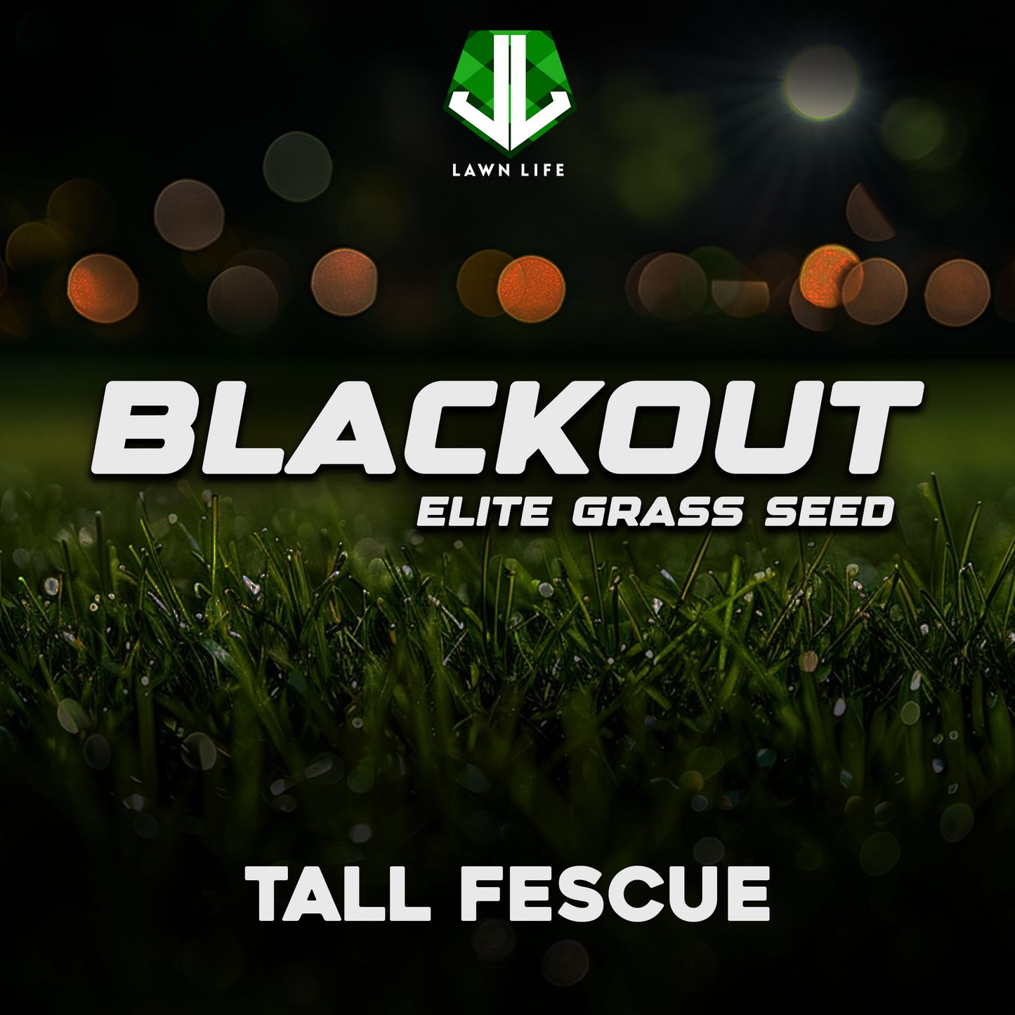 Blackout Elite Turf Type Tall Fescue