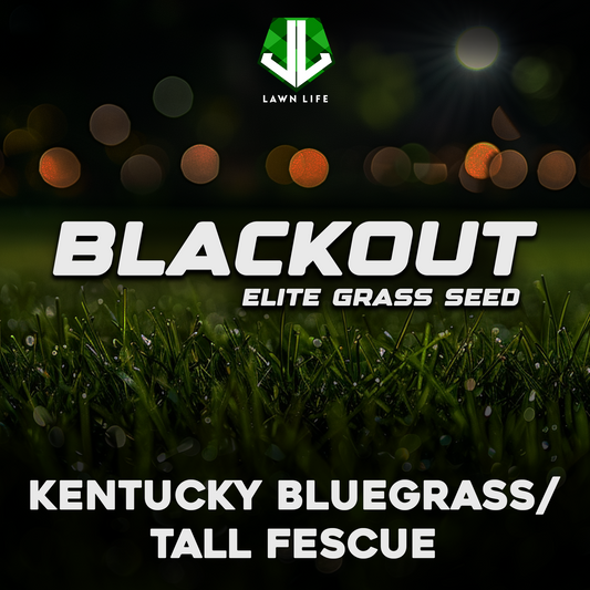 Blackout Elite Kentucky Bluegrass/Turf Type Tall Fescue